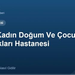 Aydın Kadın Doğum Ve Çocuk Hastalıkları Hastanesi adres ve telefon