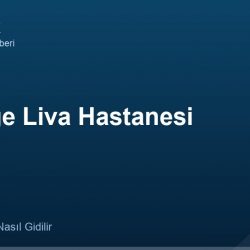 Özel Ege Liva Hastanesi adres ve telefon