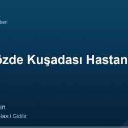 Özel Gözde Kuşadası Hastanesi adres ve telefon