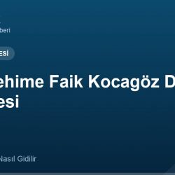 Söke Fehime Faik Kocagöz Devlet Hastanesi adres ve telefon