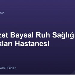 Bolu İzzet Baysal Ruh Sağlığı Ve Hastalıkları Hastanesi adres ve telefon