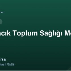 Harmancık Toplum Sağlığı Merkezi adres ve telefon