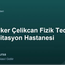 Bursa İlker Çelikcan Fizik Tedavi Ve Rehabilitasyon Hastanesi adres ve telefon