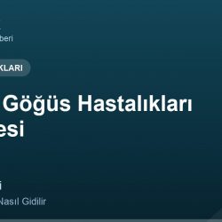 Buldan Göğüs Hastalıkları Hastanesi adres ve telefon