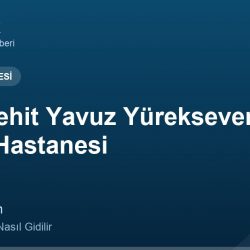 Hınıs Şehit Yavuz Yürekseven Devlet Hastanesi adres ve telefon