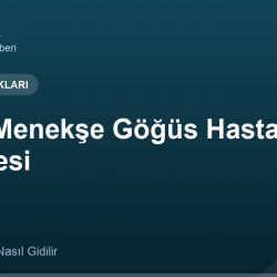 Dr. Ali Menekşe Göğüs Hastalıkları Hastanesi adres ve telefon
